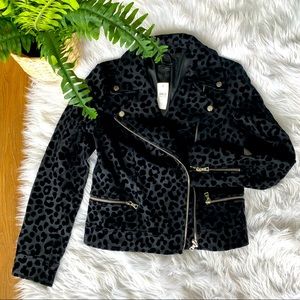Black Velvet cheetah print jacket